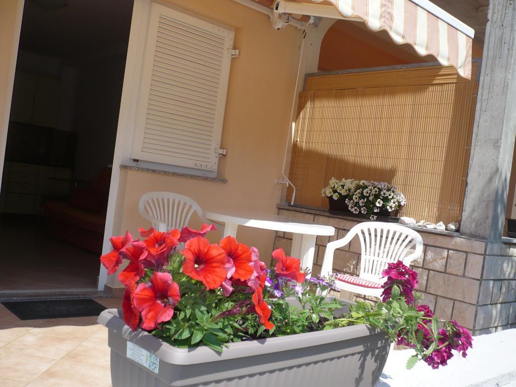 Apartmani Ruza โนวาลยา ภายนอก รูปภาพ